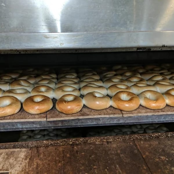 Rows of Atlantic Bagel Co. bagels baking on a rack inside a large oven.
